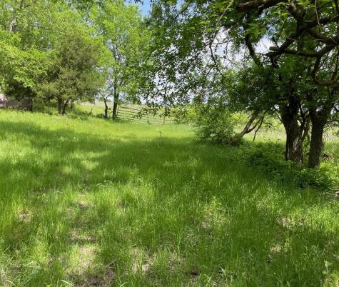 26 Acres Fm 118 Greenville TX 75401