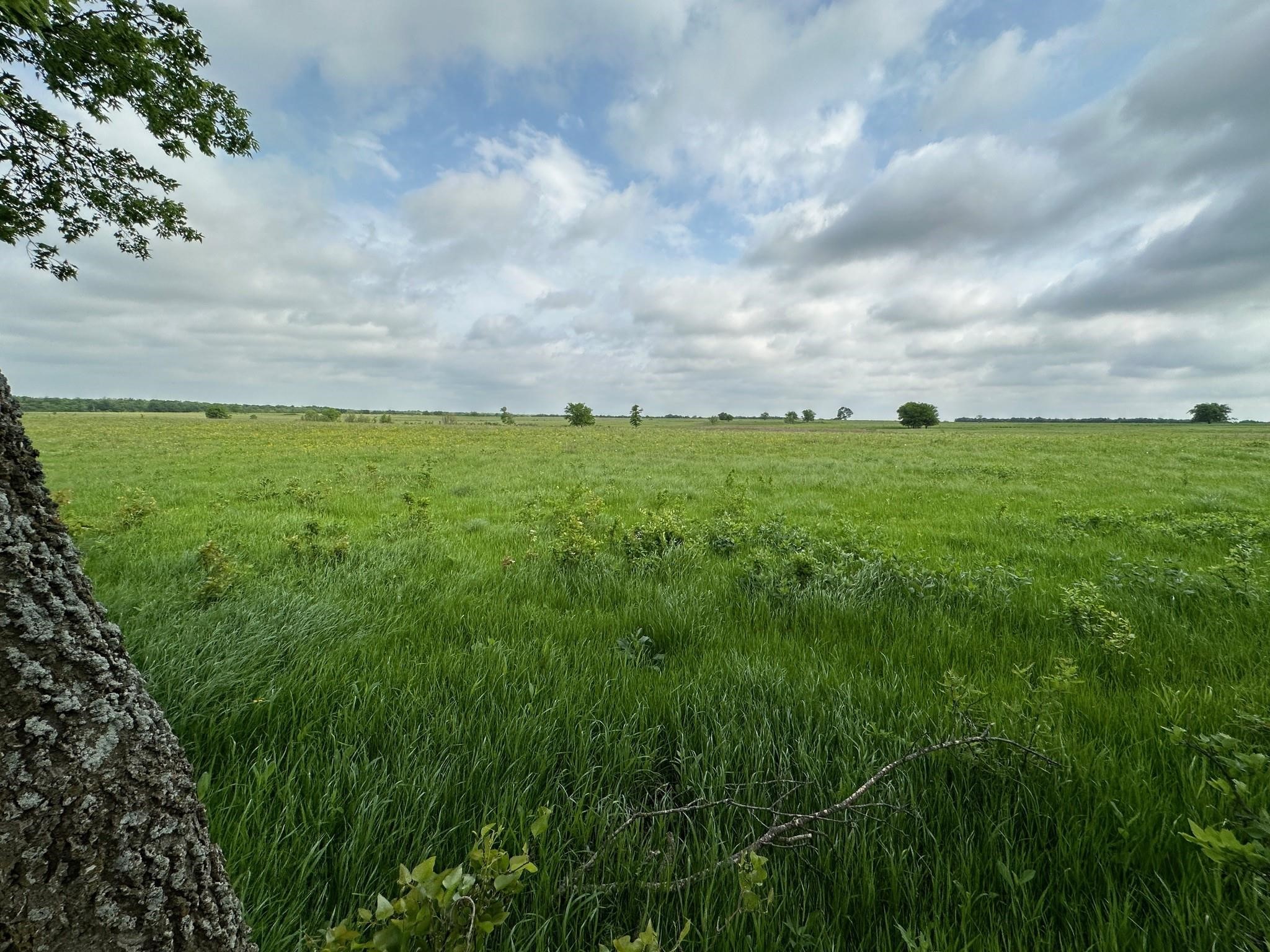 26 Acres Fm 118 Greenville TX 75401