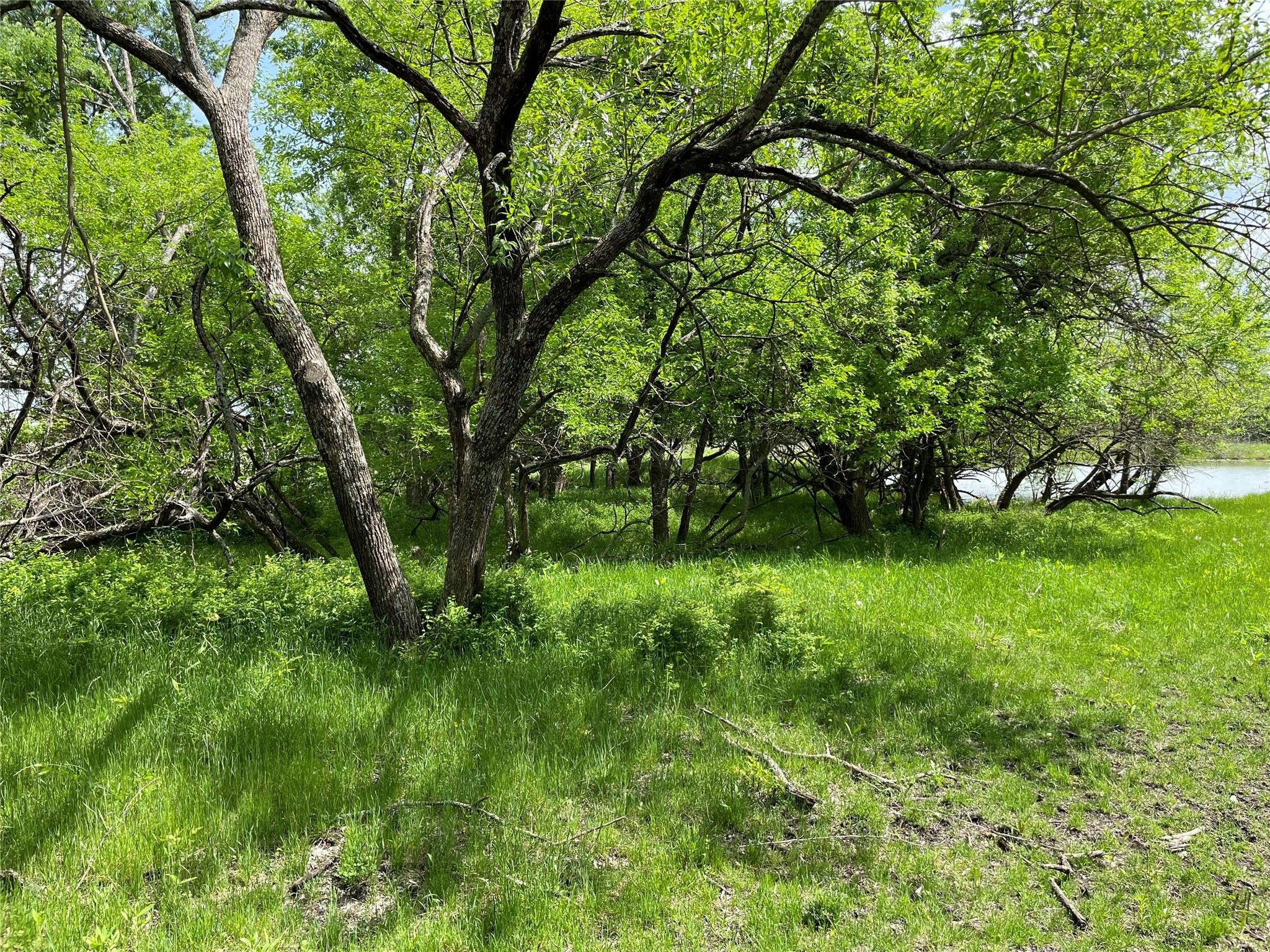 26 Acres Fm 118 Greenville TX 75401