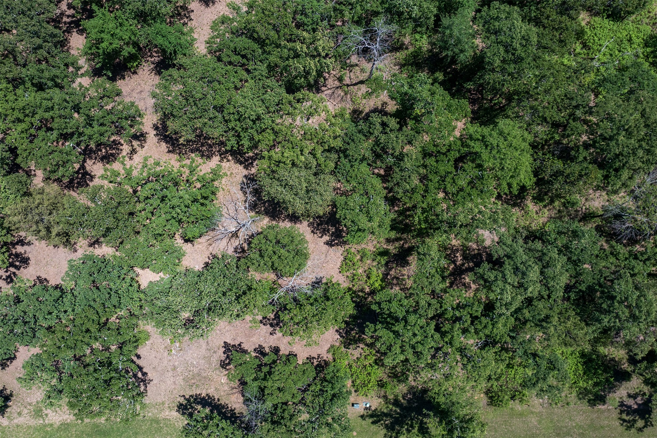 6936 Lakeshore Way Malakoff TX 75148