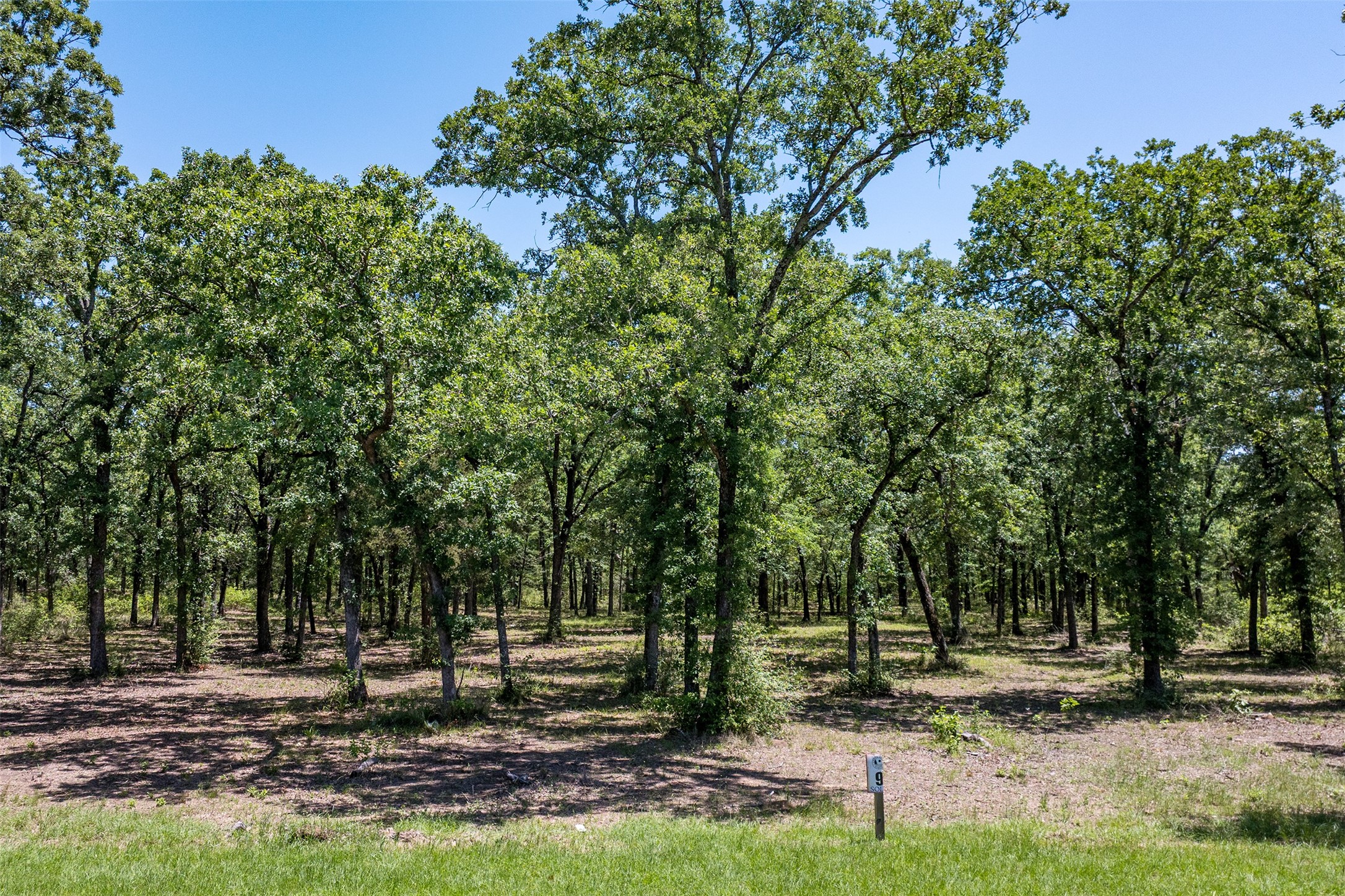 6936 Lakeshore Way Malakoff TX 75148