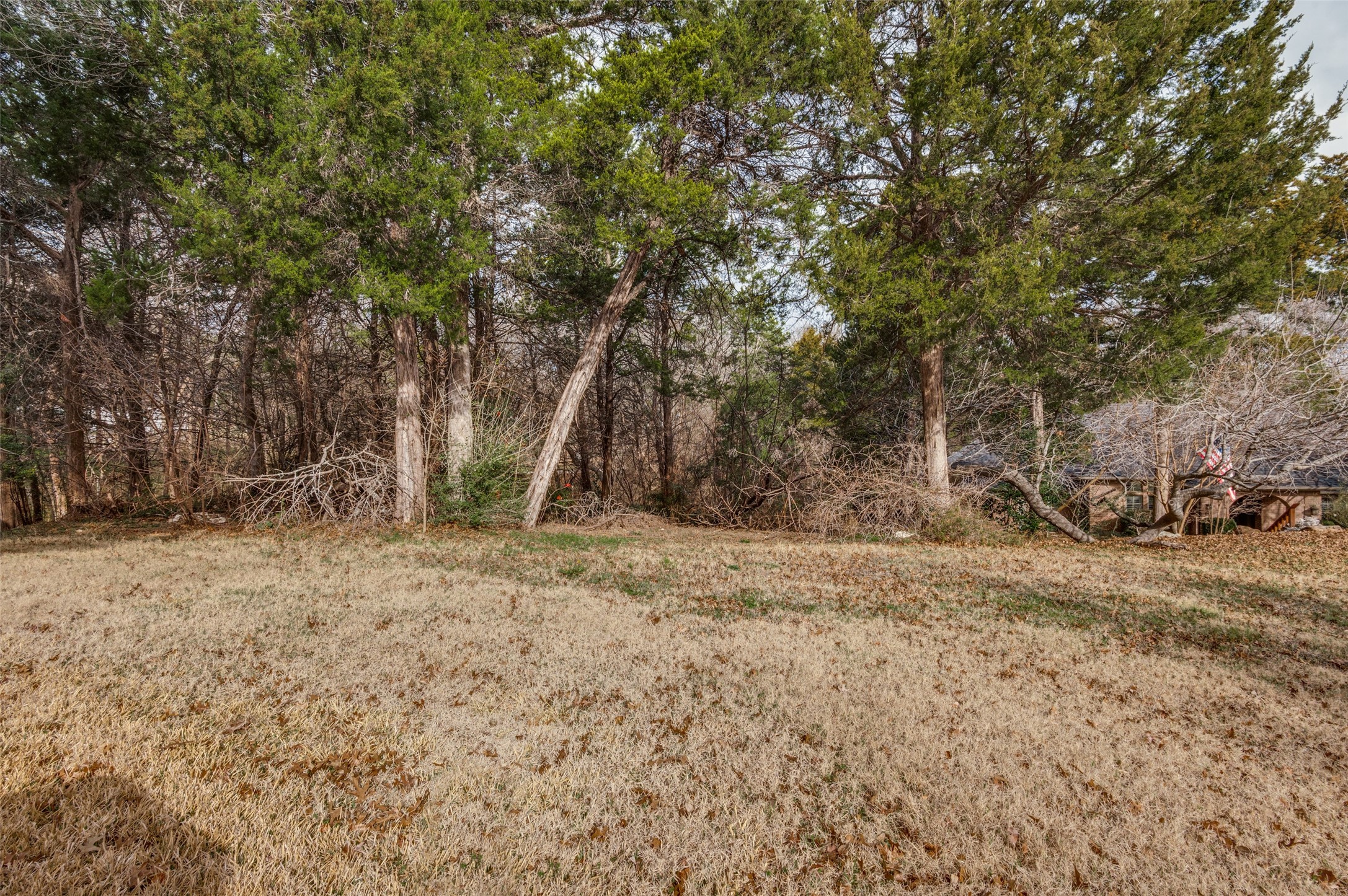 807 Laurel Hills Court Cedar Hill TX 75104
