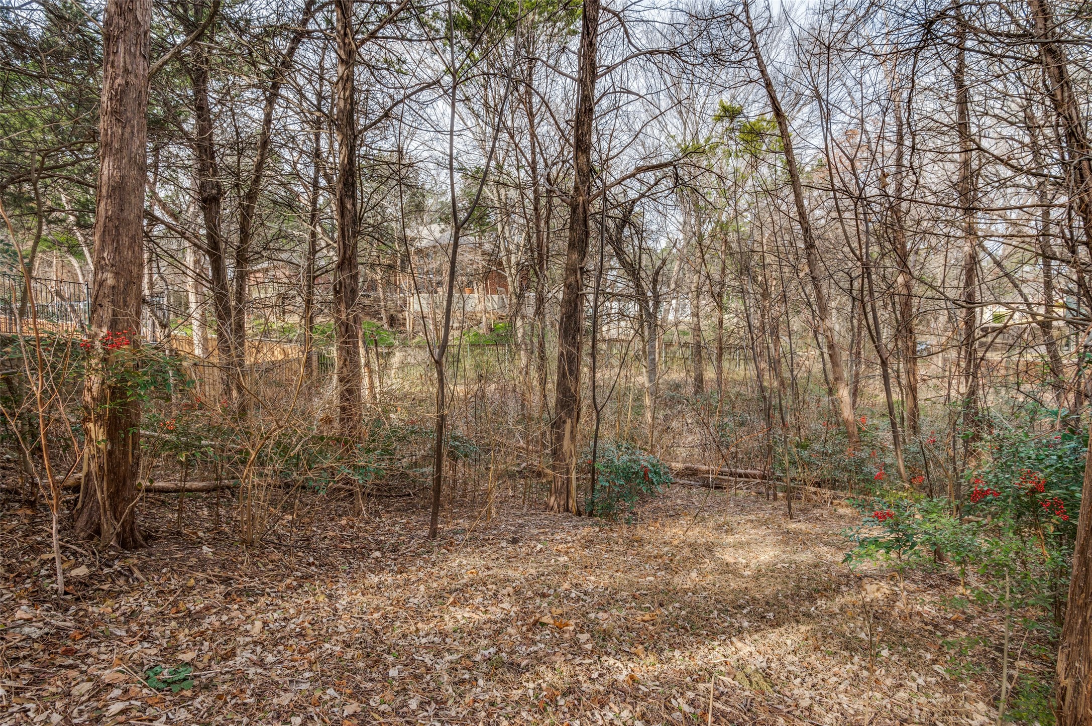 807 Laurel Hills Court Cedar Hill TX 75104