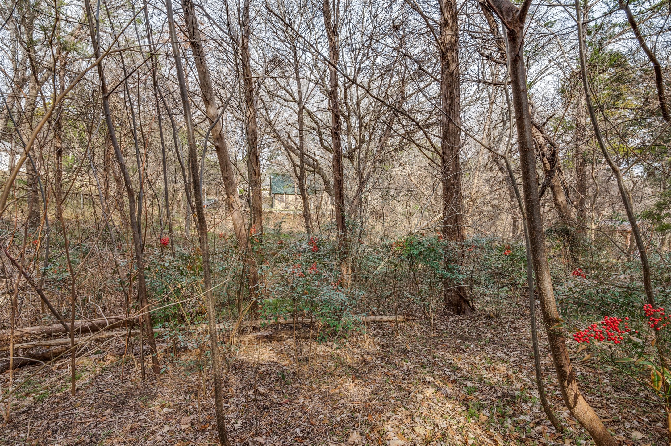 807 Laurel Hills Court Cedar Hill TX 75104