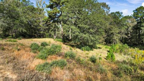 Tbd Private Road Big Sandy TX 75755