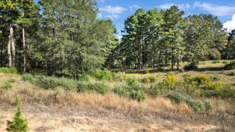 Tbd Private Road Big Sandy TX 75755