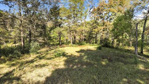 Tbd Private Road Big Sandy TX 75755