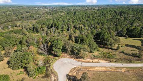 Tbd Private Road Big Sandy TX 75755