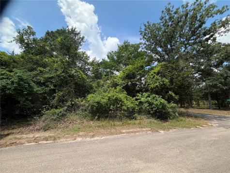 TBD King Lake Road Scroggins TX 75480