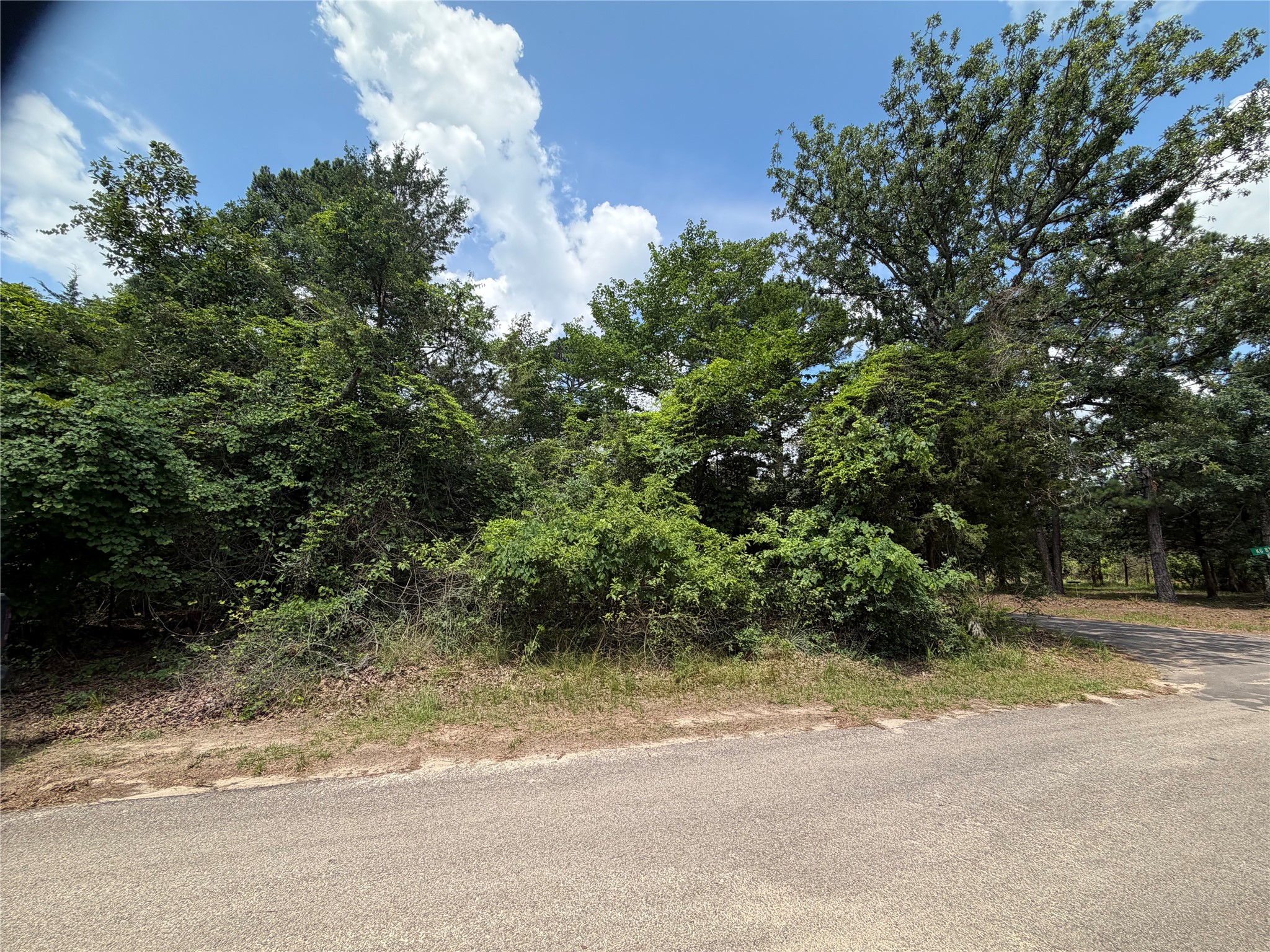 Tbd King Lake Road Scroggins TX 75480