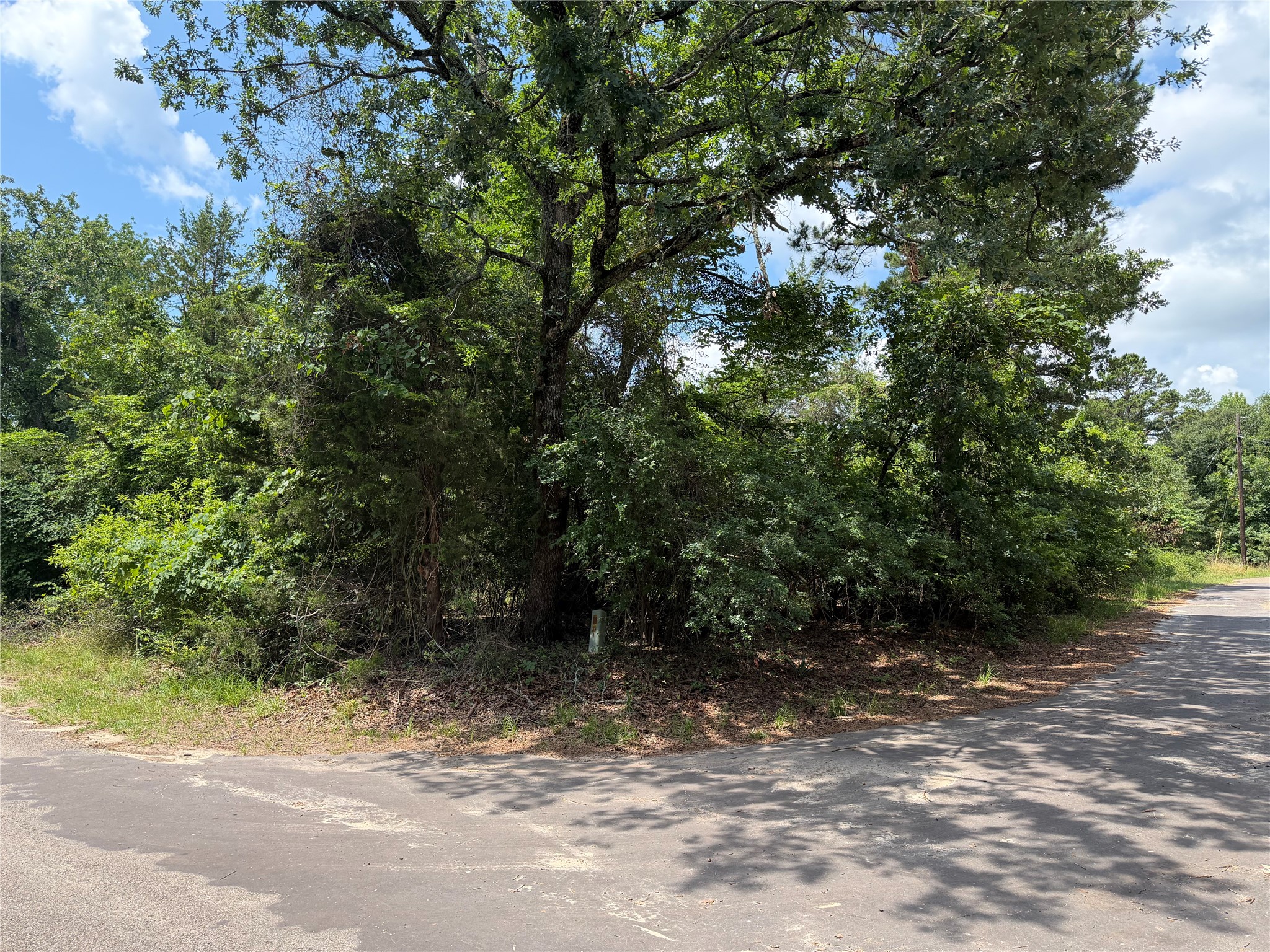Tbd King Lake Road Scroggins TX 75480