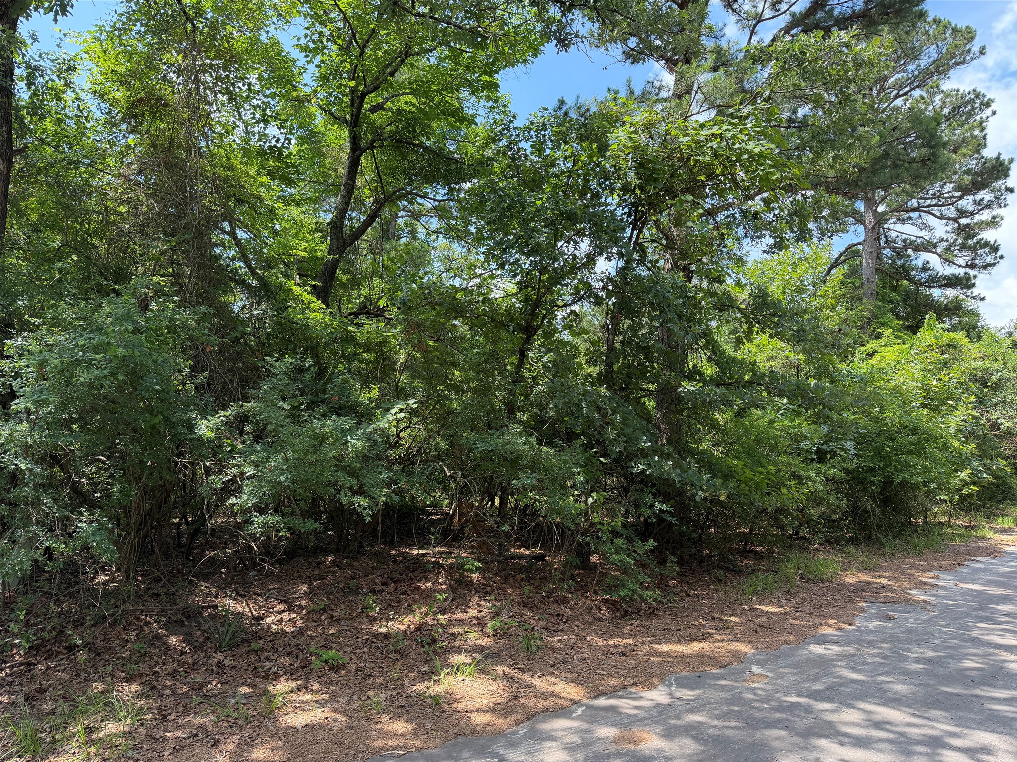 Tbd King Lake Road Scroggins TX 75480
