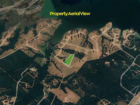 00 Paradise Cove Streetman TX 75859