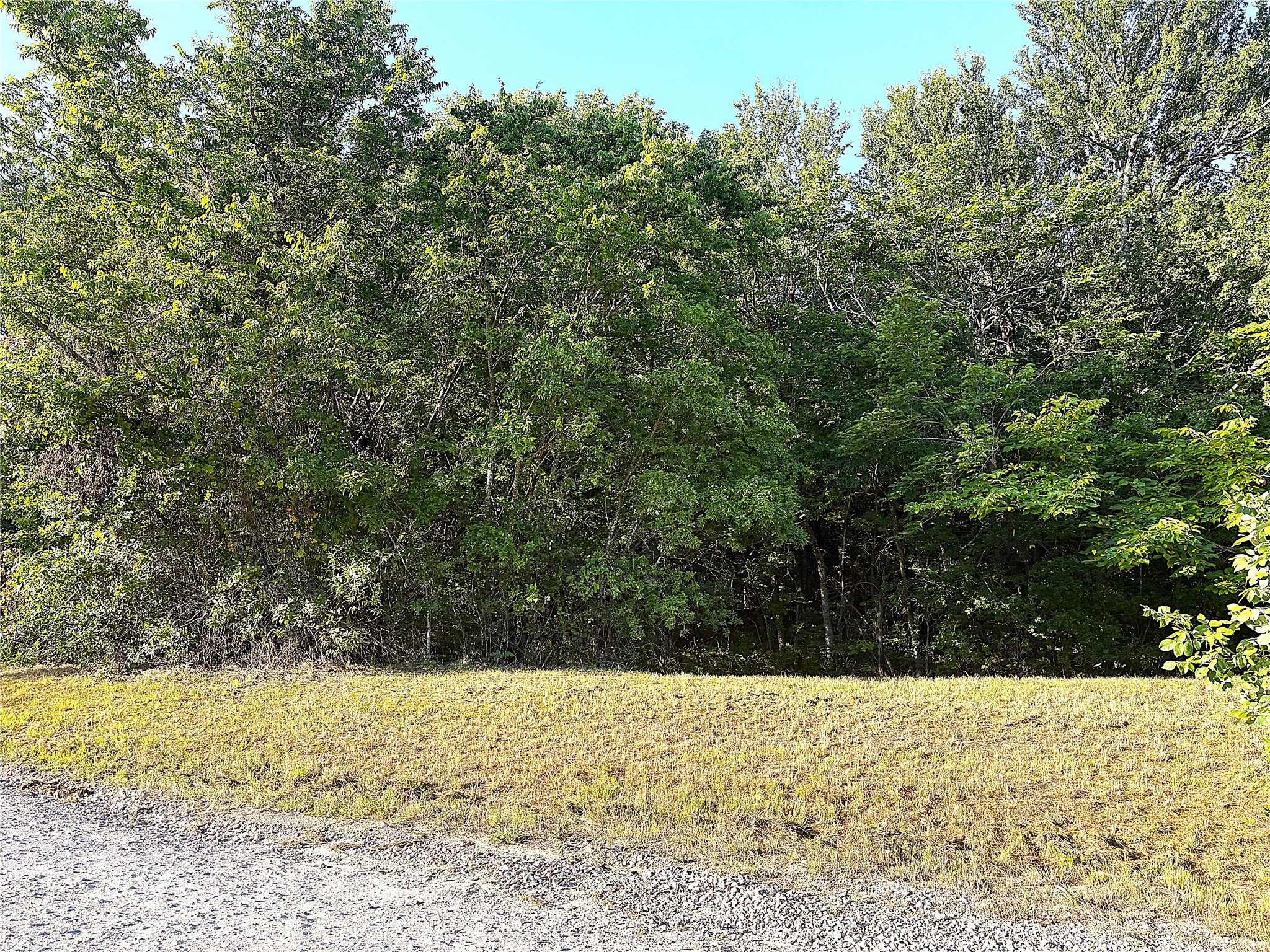 Tbd Lil Arkansas Road Bells TX 75414