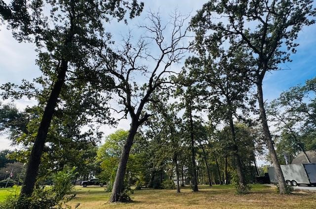 192 1st Oak Drive Enchanted Oaks TX 75156