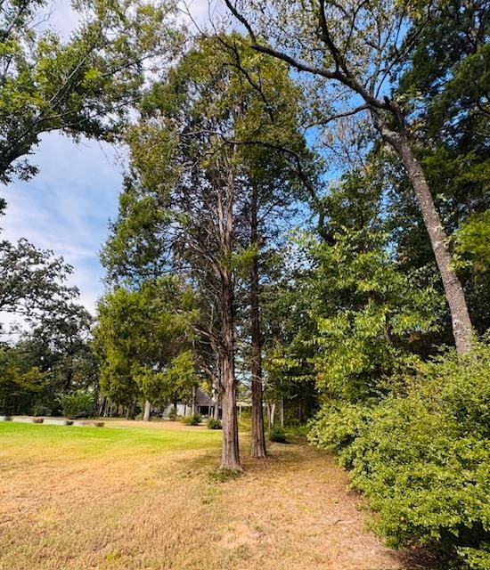 192 1st Oak Drive Enchanted Oaks TX 75156
