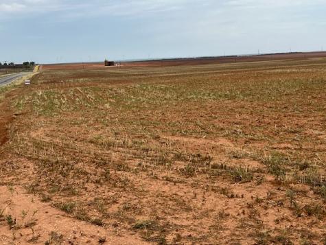 Tbd Fm 611 W Rotan TX 79546