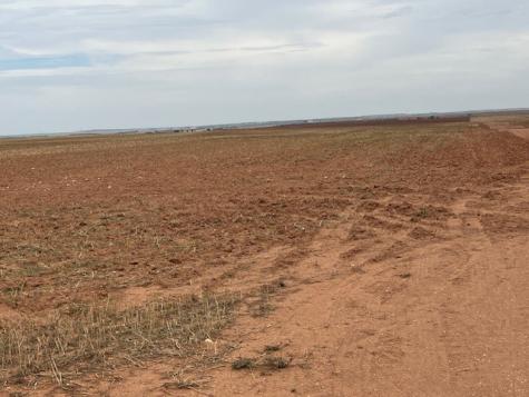 Tbd Fm 611 W Rotan TX 79546