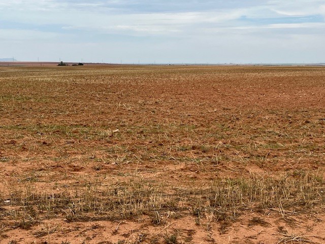 Tbd Fm 611 W Rotan TX 79546