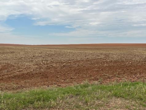 Tbd Fm 611 W Rotan TX 79546
