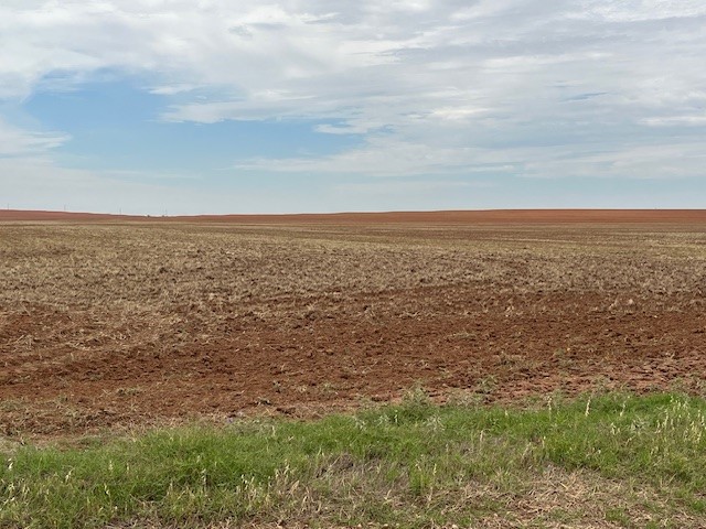 Tbd Fm 611 W Rotan TX 79546