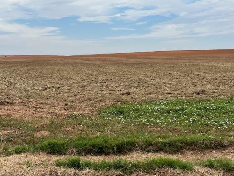 Tbd Fm 611 W Rotan TX 79546