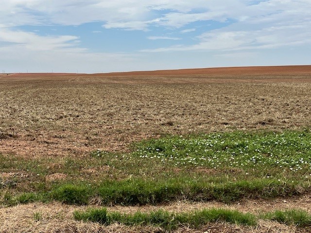 Tbd Fm 611 W Rotan TX 79546