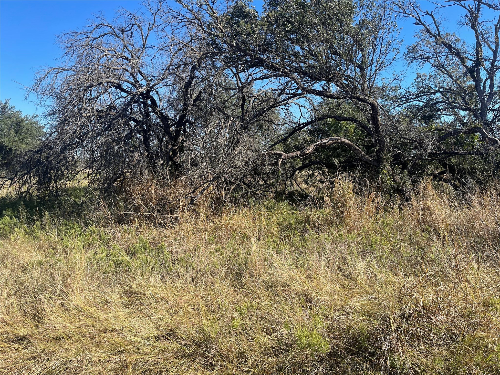 708 Safe Harbor Drive Brownwood TX 76801