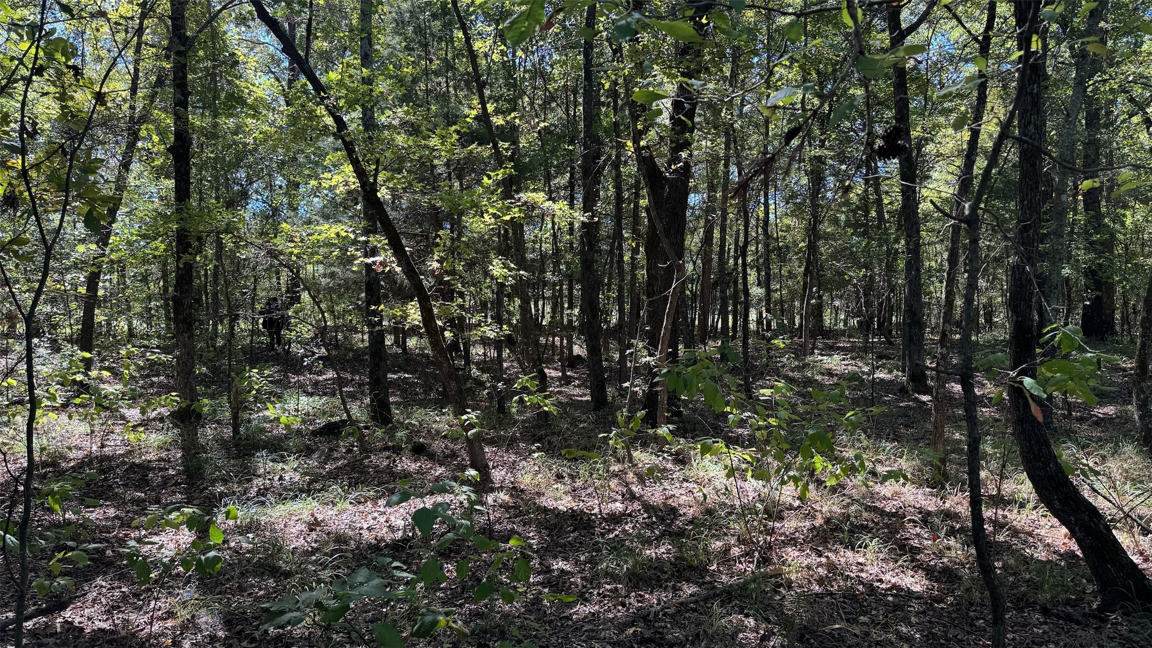 75 County Road 2115 Bagwell TX 75412