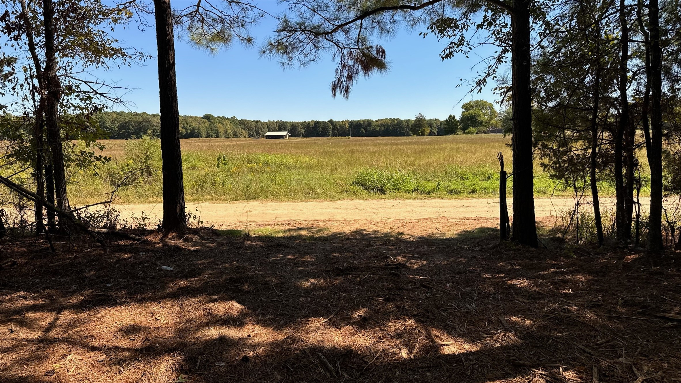 75 County Road 2115 Bagwell TX 75412