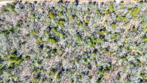Tbd Lot 9 Fcr 540 Fairfield TX 75840