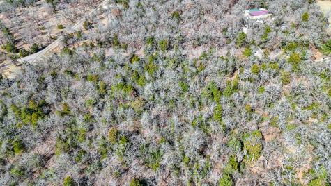 Tbd Lot 9 Fcr 540 Fairfield TX 75840