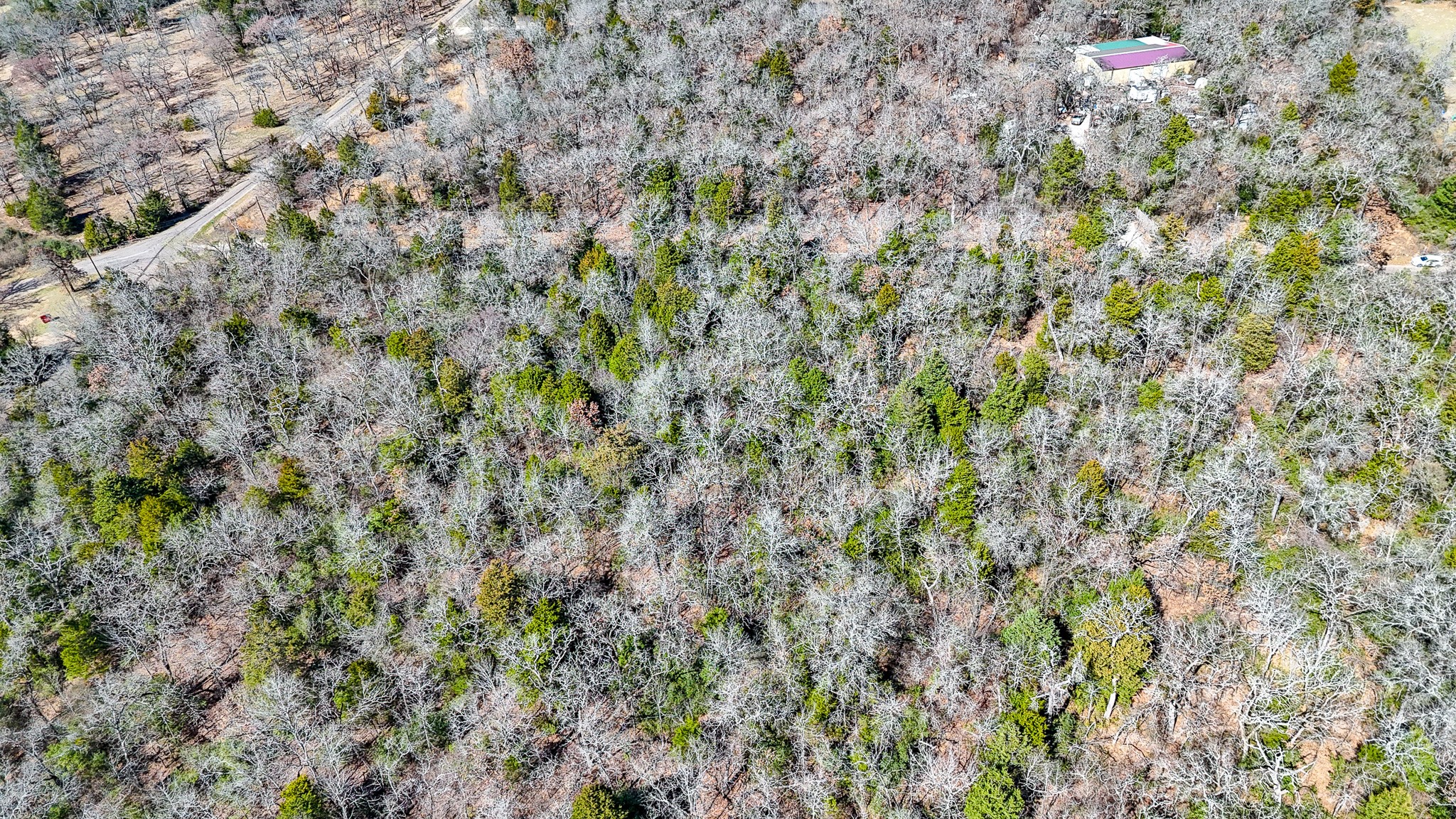 Tbd Lot 9 Fcr 540 Fairfield TX 75840