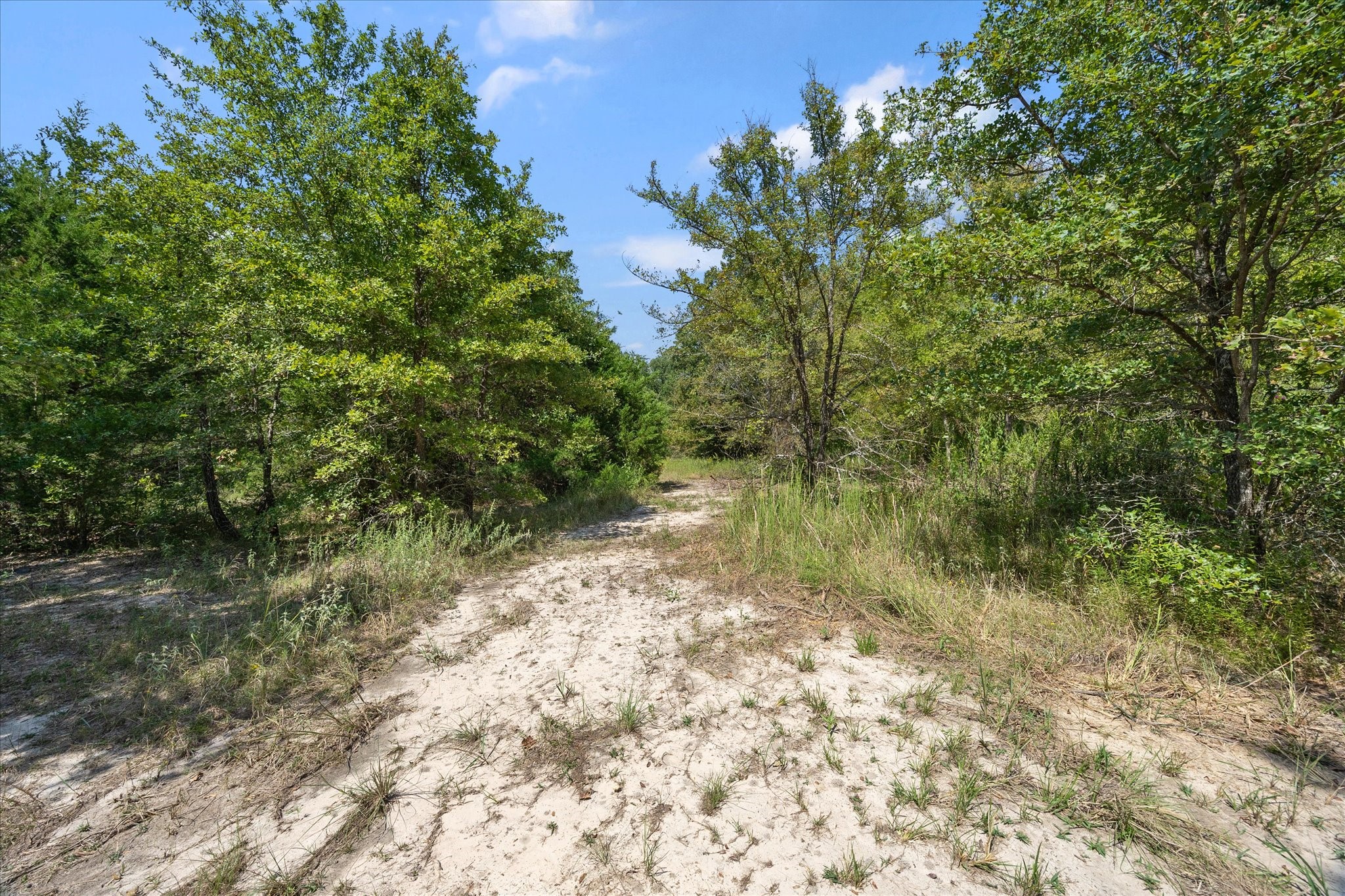 3166 Fm 316 Mabank TX 75147