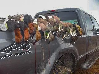 Unk Camp Creek Road Temple TX 76501
