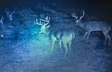 Unk Camp Creek Road Temple TX 76501