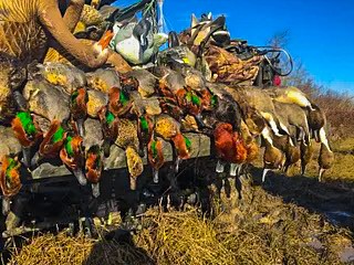 Unk Camp Creek Road Temple TX 76501