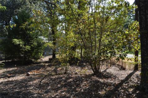 Tbd Private Road 7704 Road Emory TX 75440