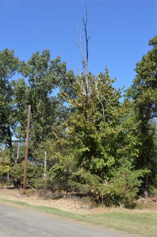 Tbd Private Road 7704 Road Emory TX 75440