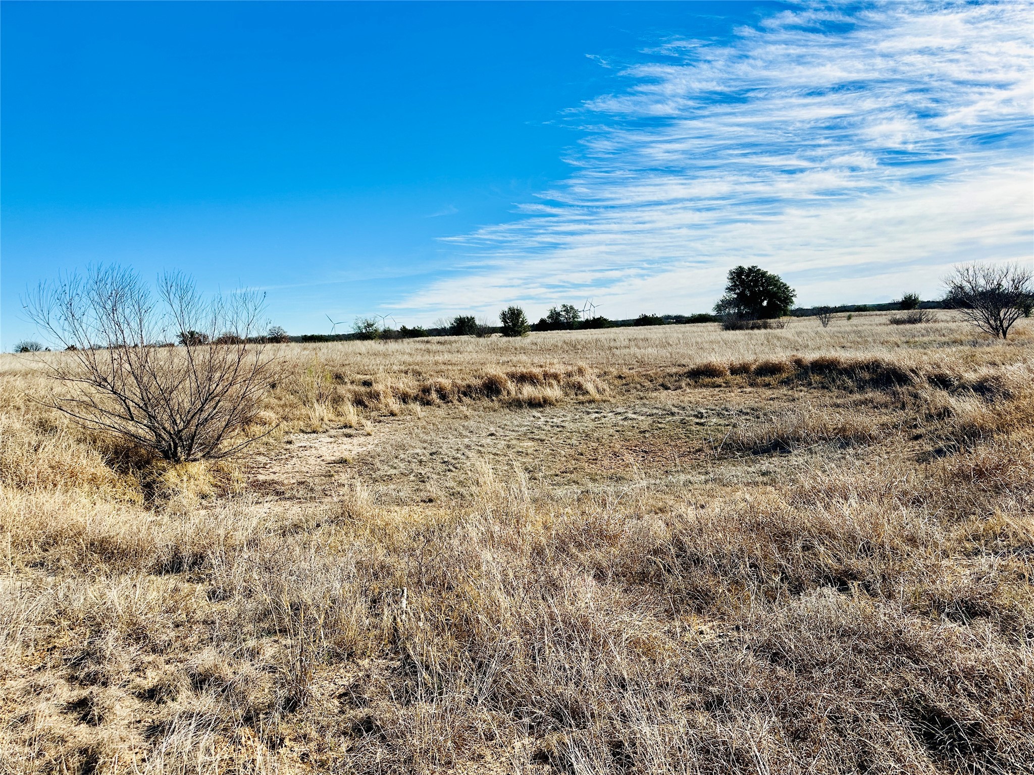 8655 Cr 452 Cross Plains TX 76443