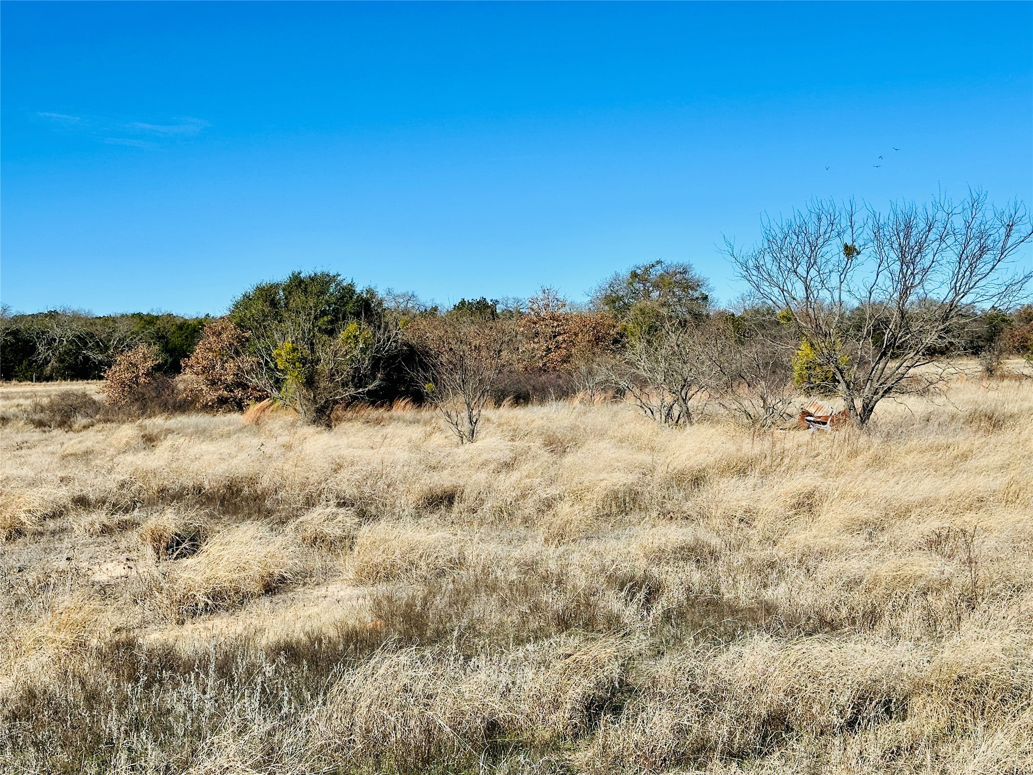 8655 Cr 452 Cross Plains TX 76443