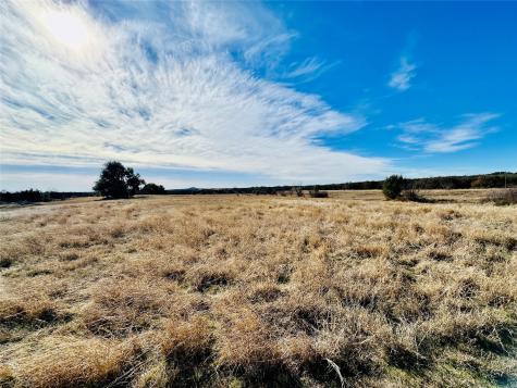 8655 Cr 452 Cross Plains TX 76443