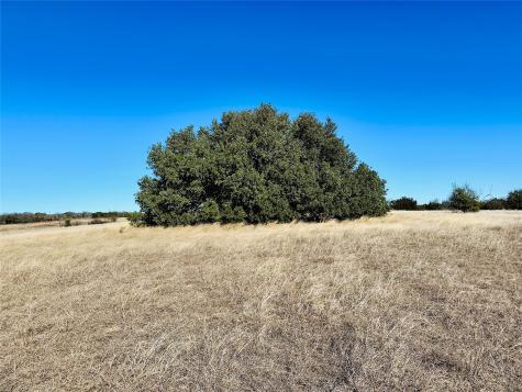 8655 Cr 452 Cross Plains TX 76443