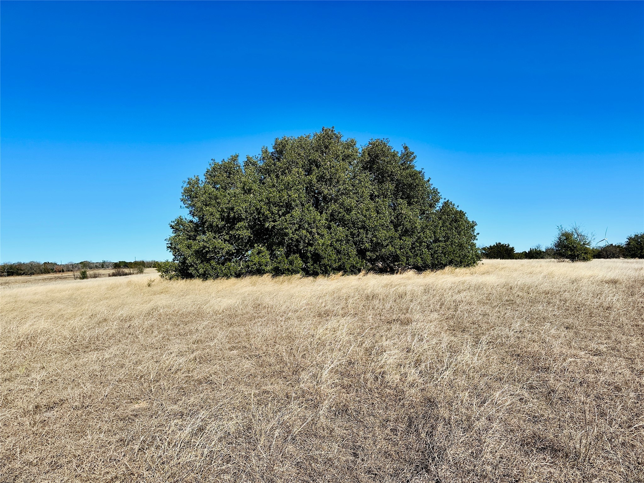 8655 Cr 452 Cross Plains TX 76443