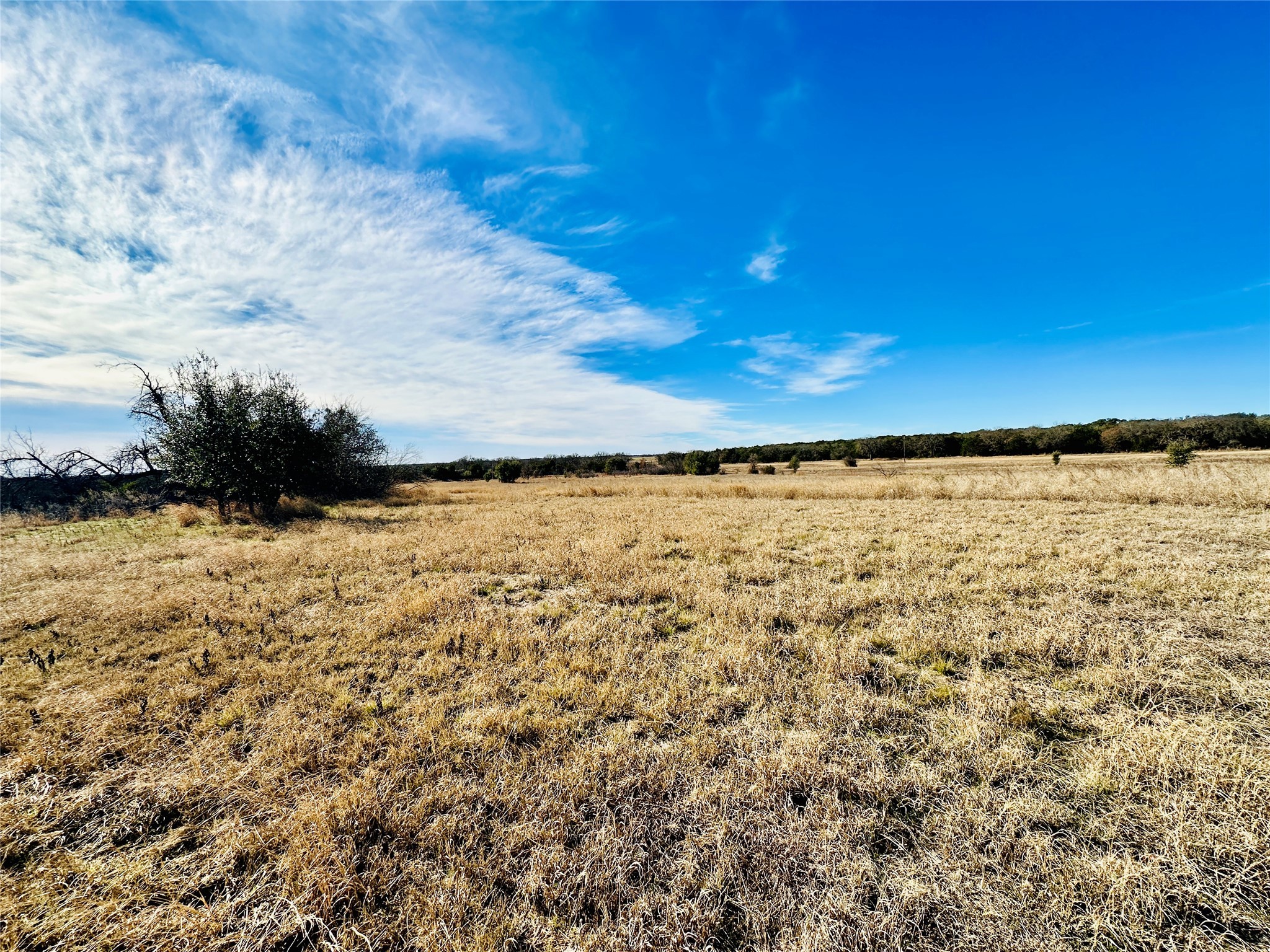 8655 Cr 452 Cross Plains TX 76443