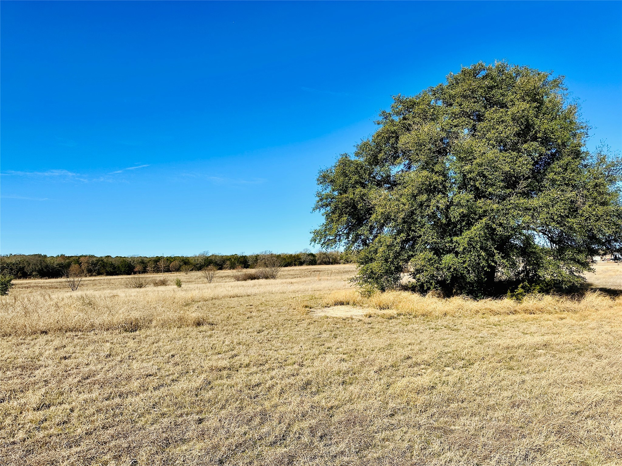 8655 Cr 452 Cross Plains TX 76443
