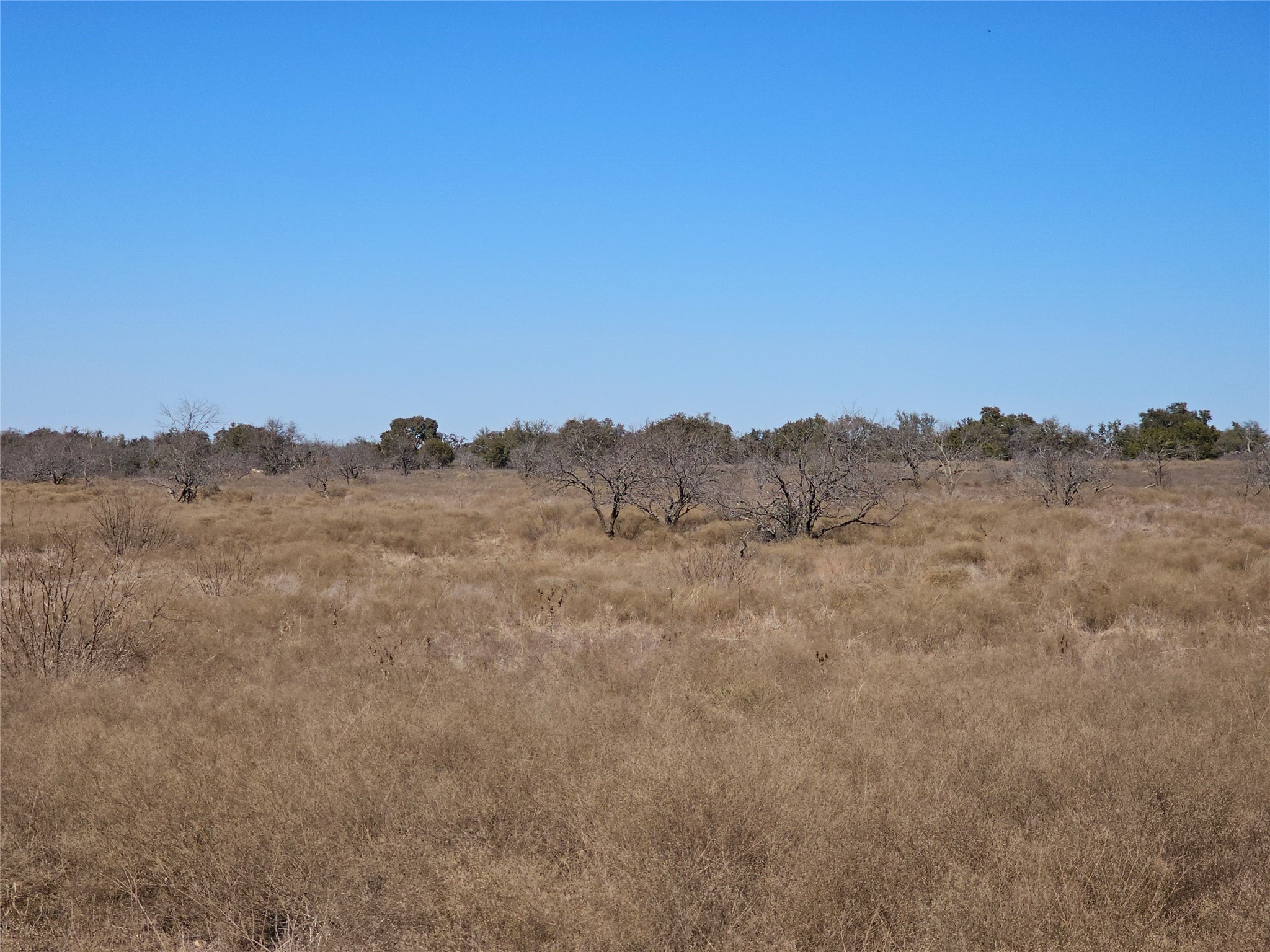 0 Pecan Valley Drive Energy TX 76452