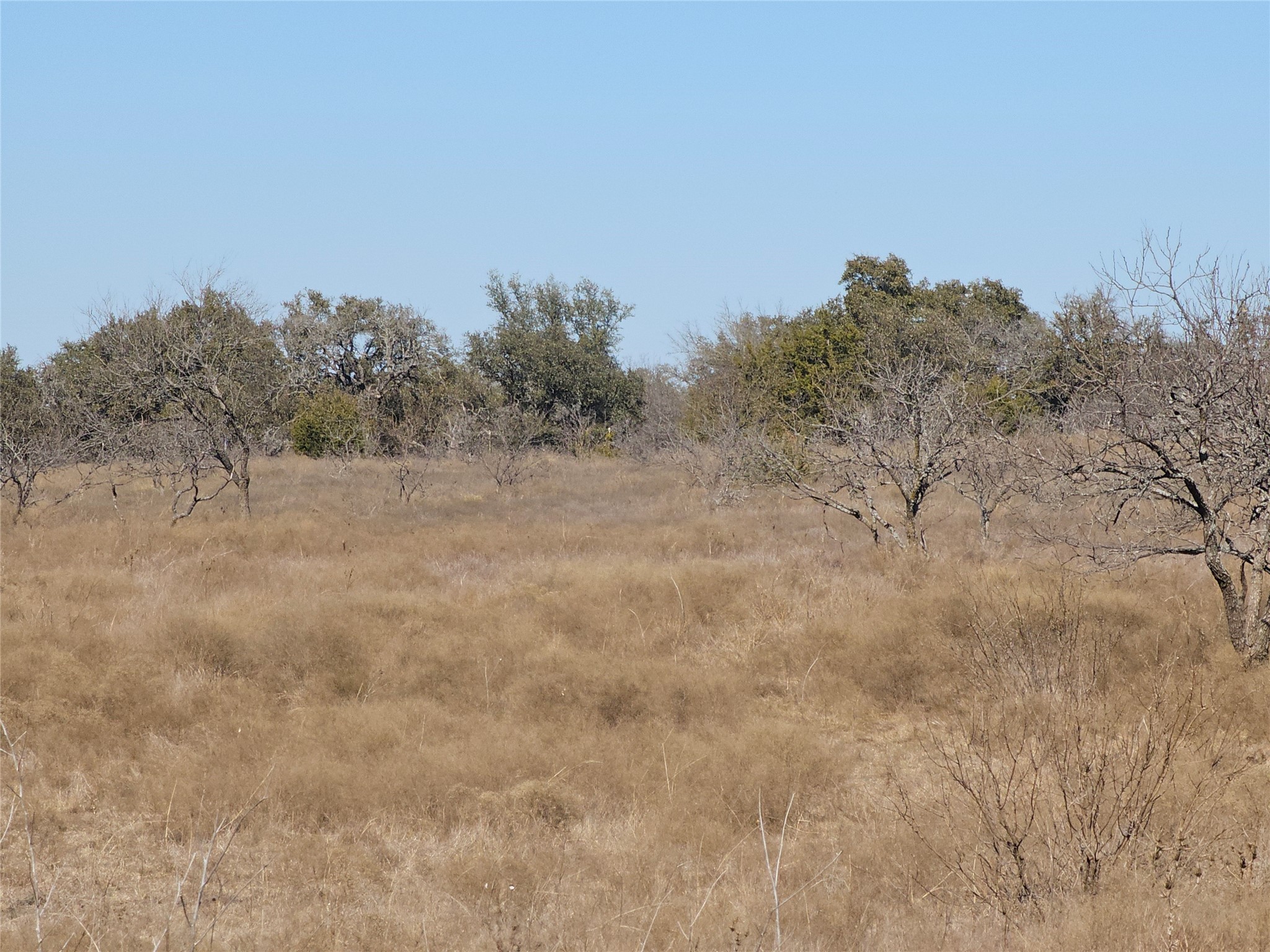 0 Pecan Valley Drive Energy TX 76452