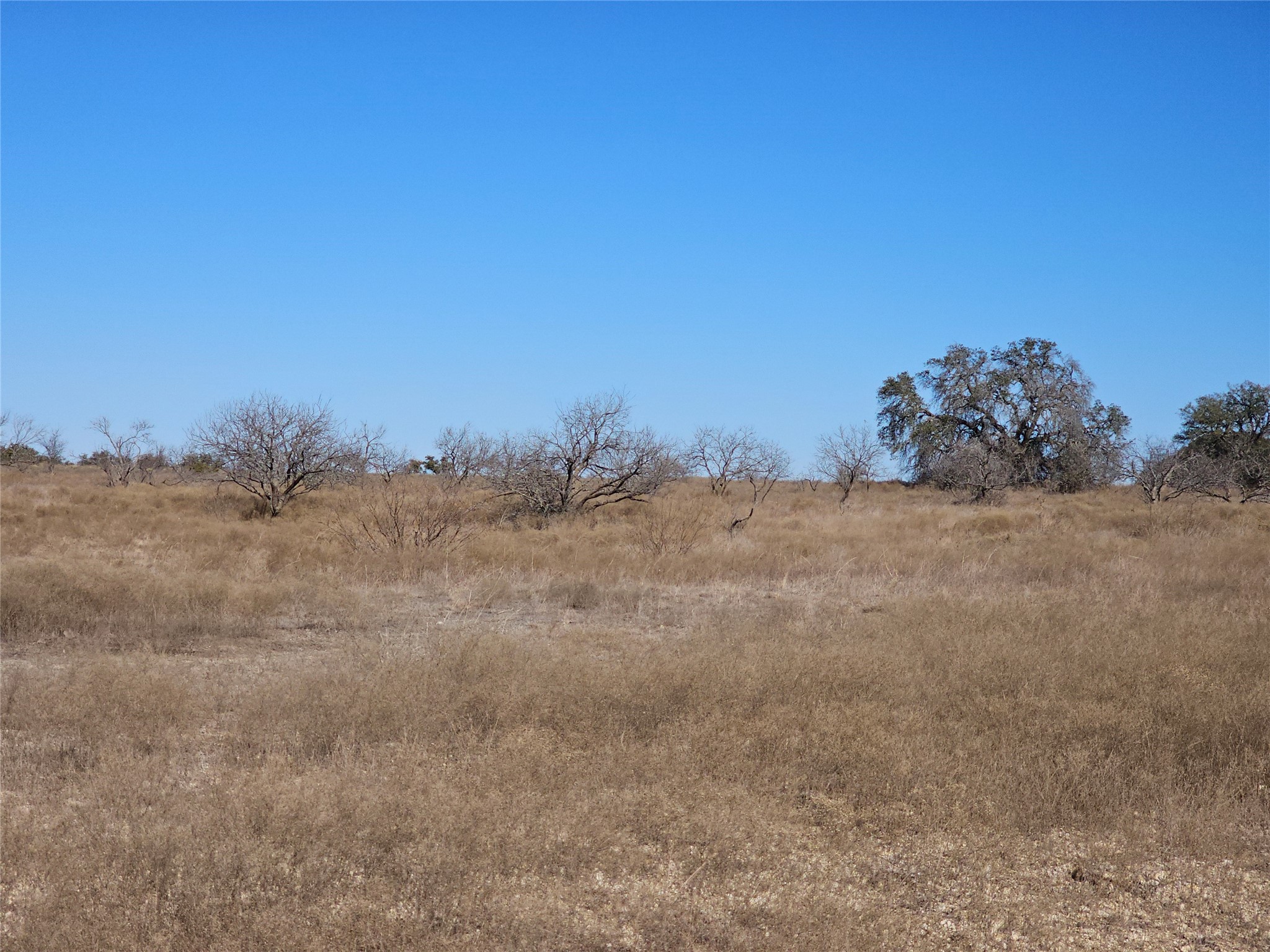 0 Pecan Valley Drive Energy TX 76452