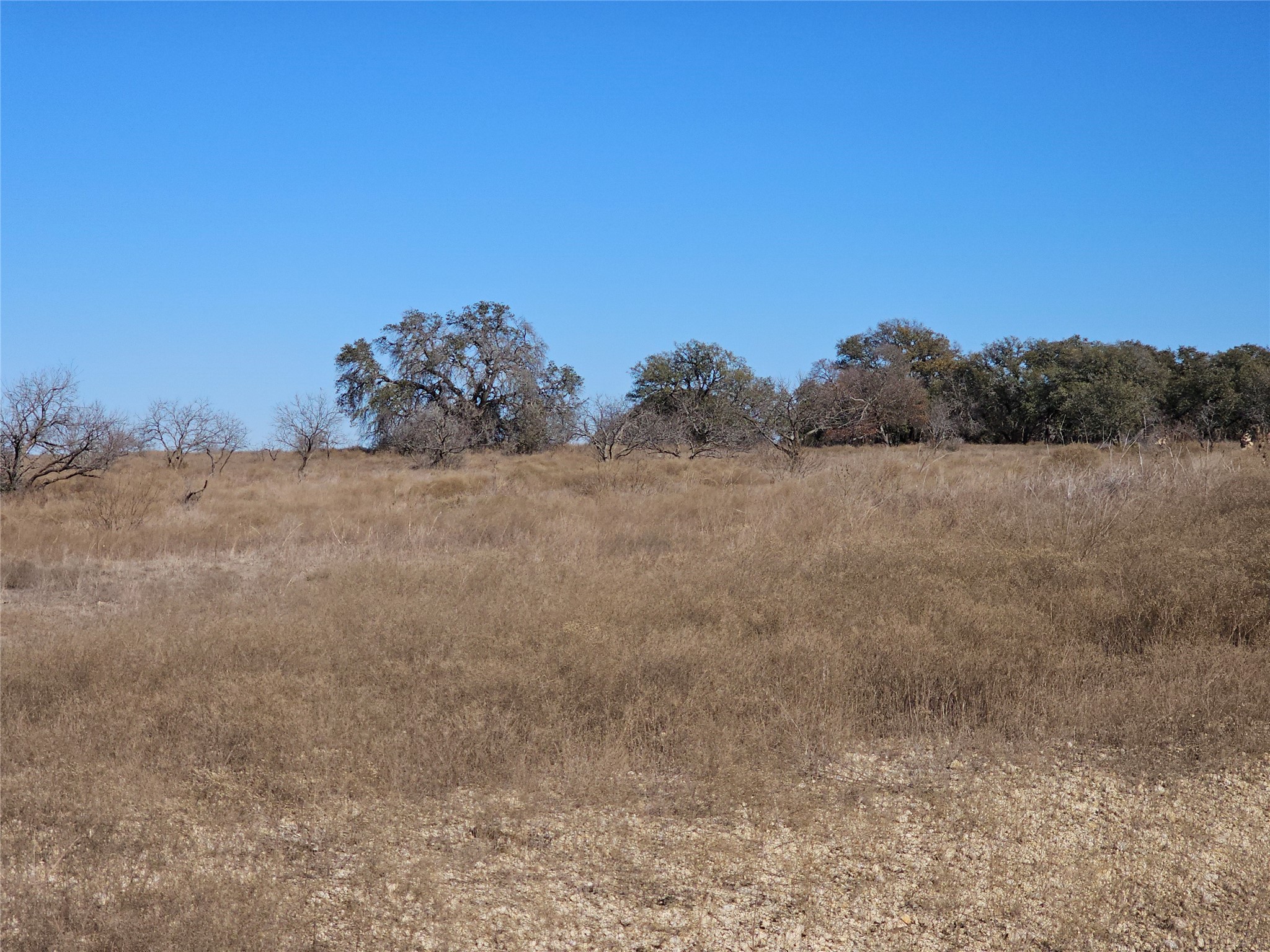 0 Pecan Valley Drive Energy TX 76452
